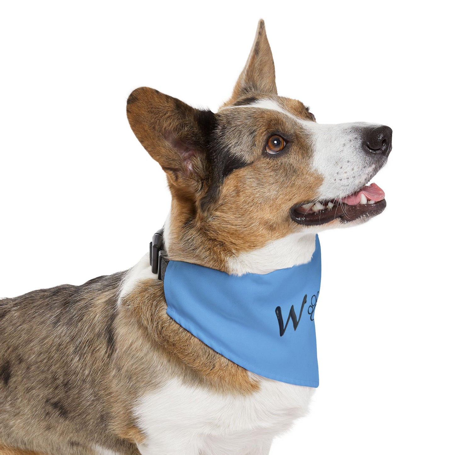 WOOF Painted by Grandma Pet Bandana Collar